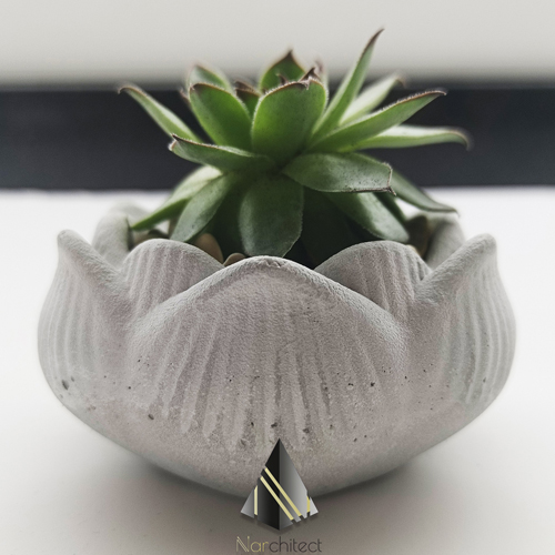 LOTUS POT