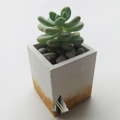 SQUARE POT