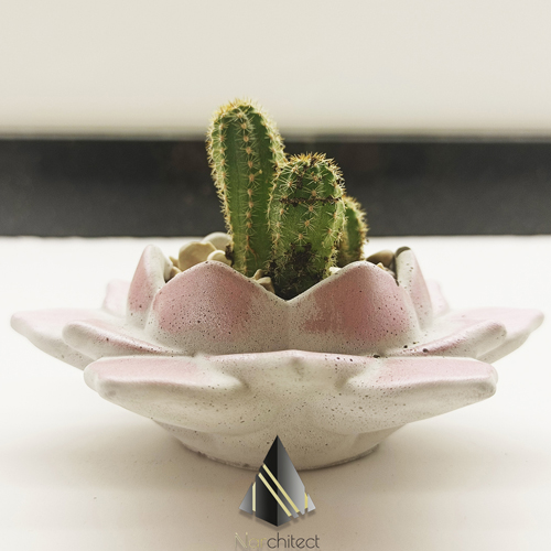 LOTUS POT