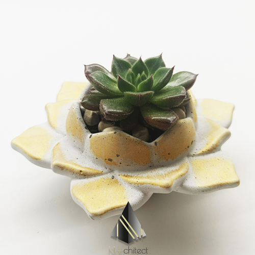 LOTUS POT