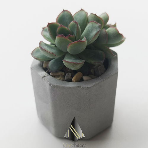 OCTAGON POT