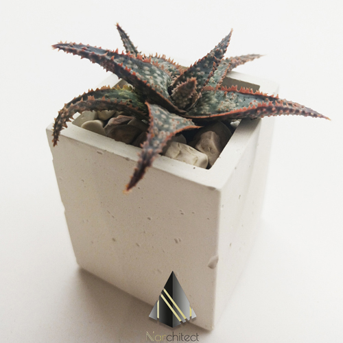 SQUARE POT